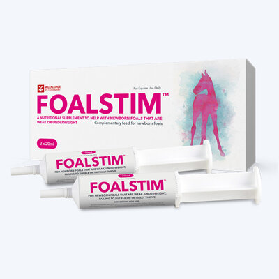 Foalstim web2024